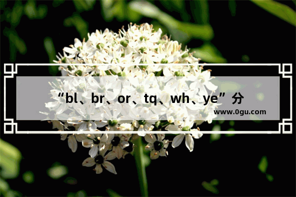 “bl、br、or、tq、wh、ye”分别代表什么颜色