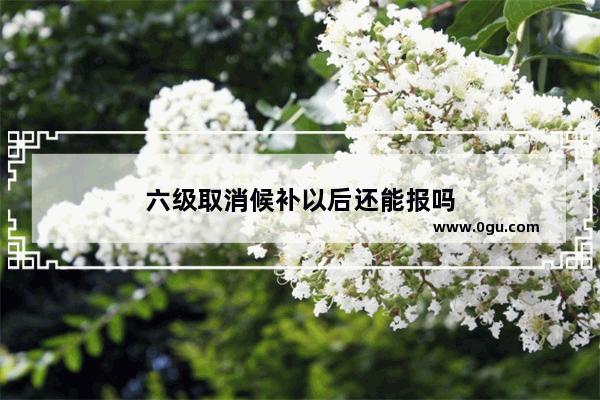 六级取消候补以后还能报吗