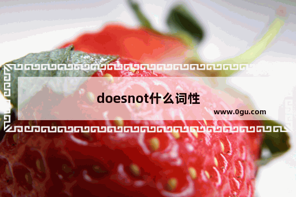 doesnot什么词性