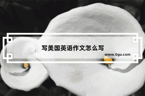 写美国英语作文怎么写