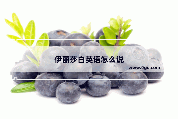 伊丽莎白英语怎么说