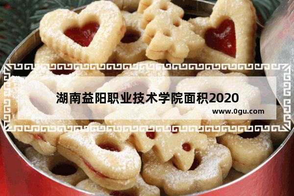 湖南益阳职业技术学院面积2020