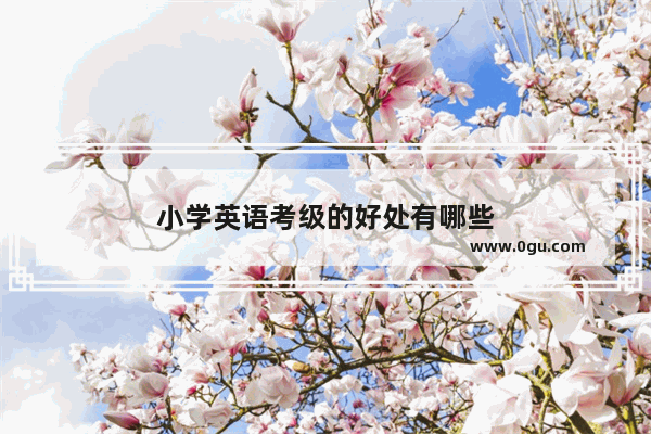小学英语考级的好处有哪些