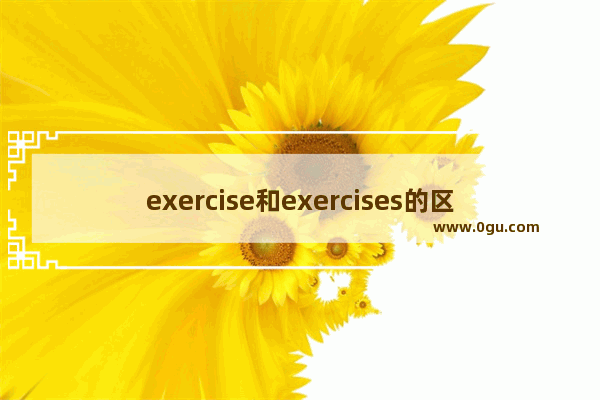 exercise和exercises的区别