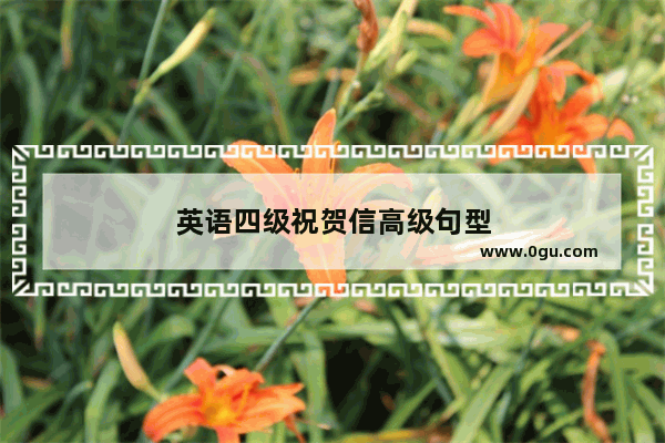 英语四级祝贺信高级句型