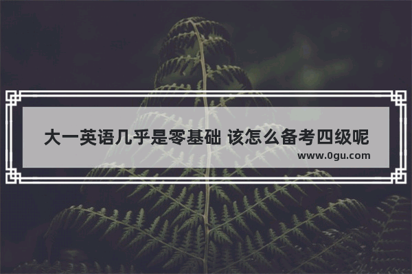 大一英语几乎是零基础 该怎么备考四级呢