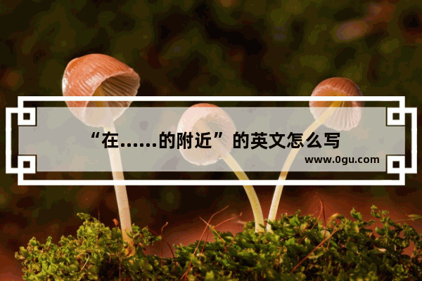 “在……的附近”的英文怎么写