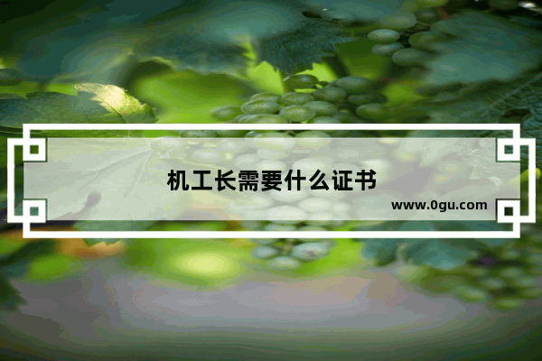 机工长需要什么证书