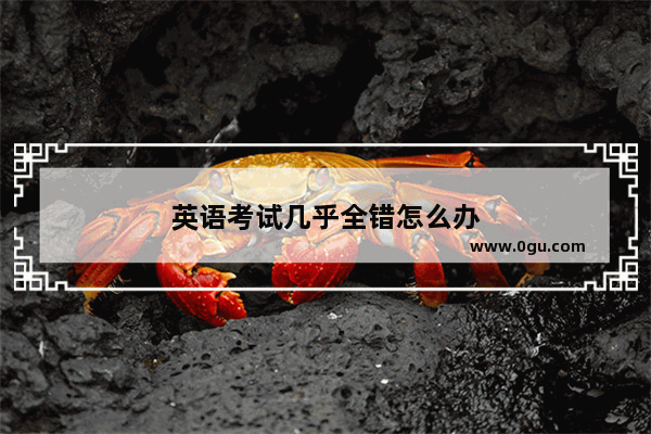 英语考试几乎全错怎么办