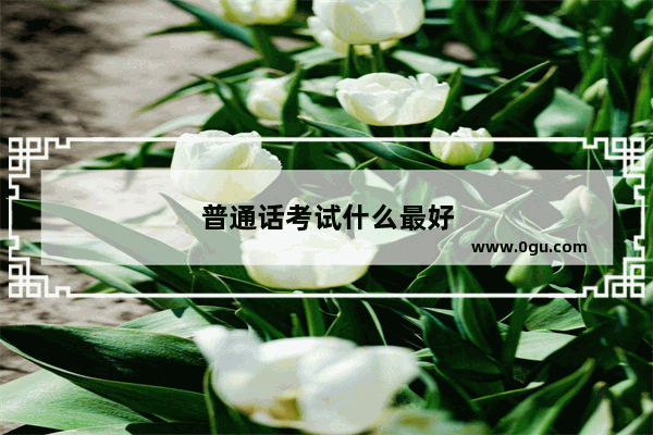 普通话考试什么最好