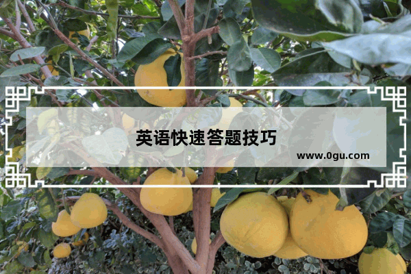 英语快速答题技巧