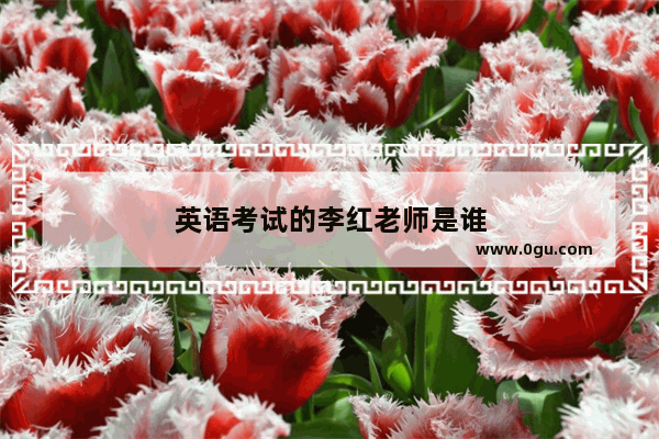 英语考试的李红老师是谁