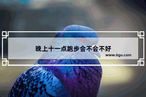 晚上十一点跑步会不会不好