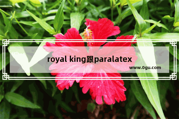 royal king跟paralatex区别