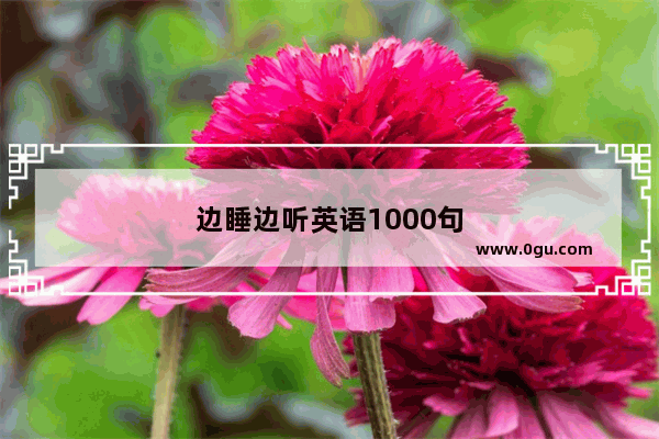 边睡边听英语1000句