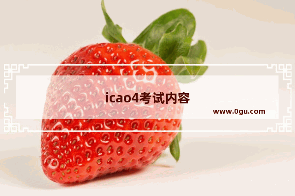 icao4考试内容