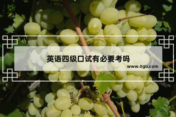 英语四级口试有必要考吗