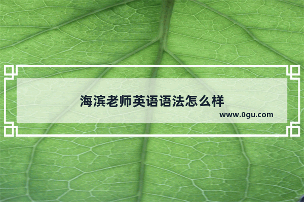 海滨老师英语语法怎么样