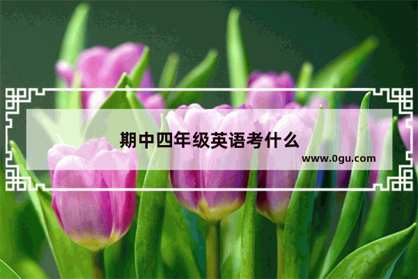 期中四年级英语考什么