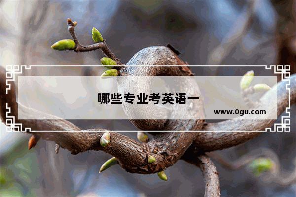 哪些专业考英语一