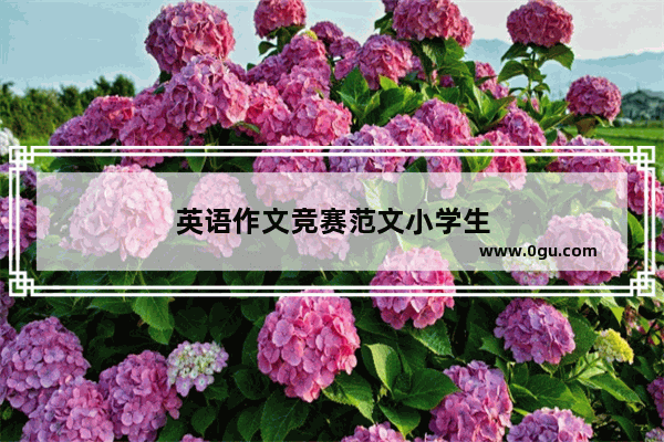 英语作文竞赛范文小学生