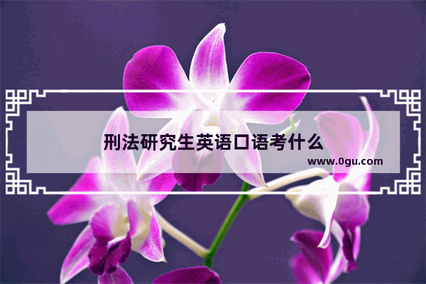 刑法研究生英语口语考什么