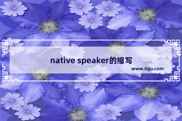 native speaker的缩写