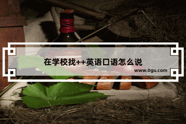 在学校找++英语口语怎么说