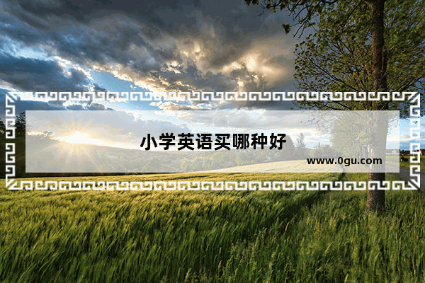 小学英语买哪种好