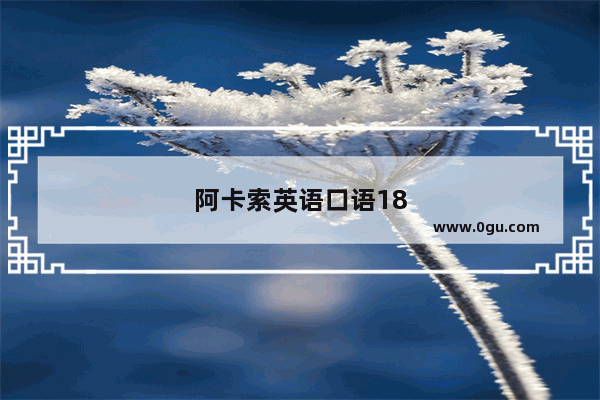 阿卡索英语口语18