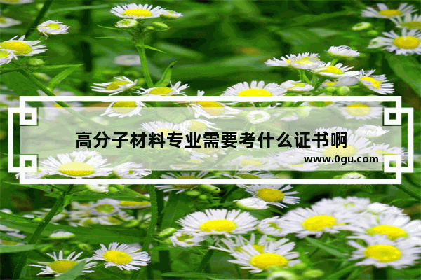 高分子材料专业需要考什么证书啊