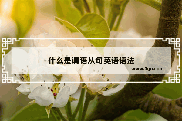 什么是谓语从句英语语法