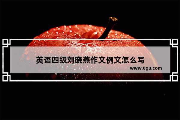 英语四级刘晓燕作文例文怎么写
