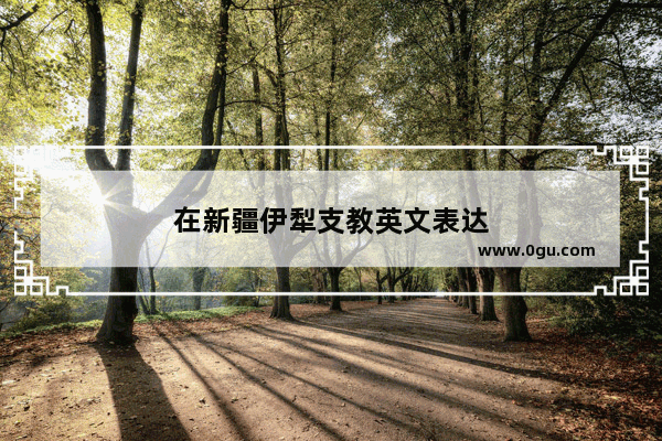 在新疆伊犁支教英文表达