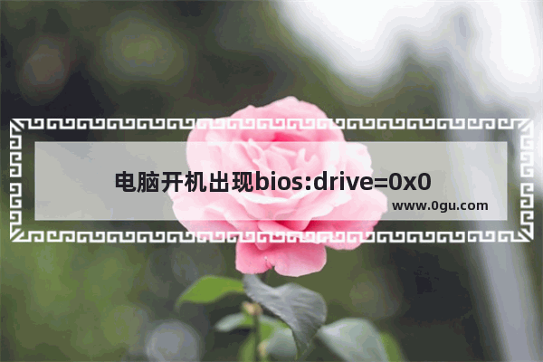 电脑开机出现bios:drive=0x0,h=1,s=18
