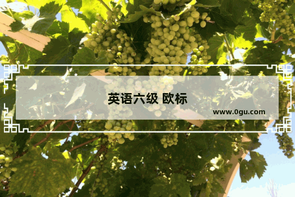 英语六级 欧标