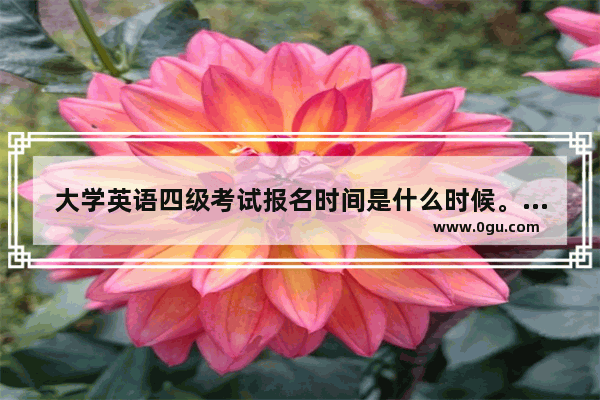 大学英语四级考试报名时间是什么时候。一年有几次
