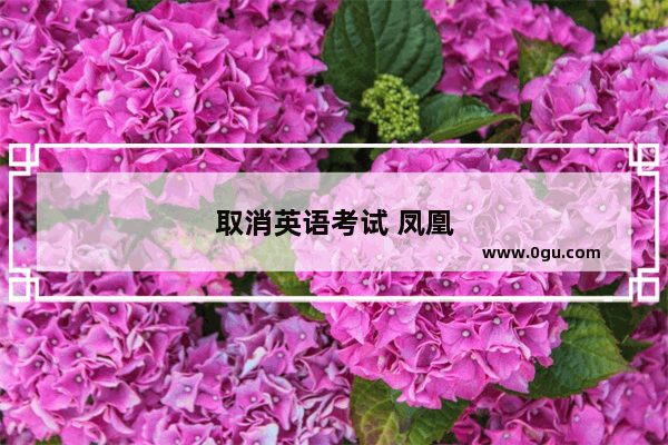 取消英语考试 凤凰