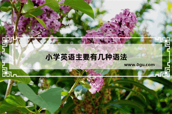 小学英语主要有几种语法
