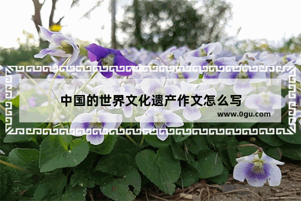 中国的世界文化遗产作文怎么写