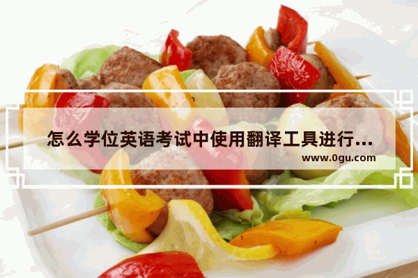 怎么学位英语考试中使用翻译工具进行翻译