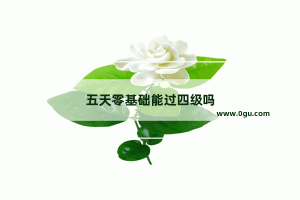 五天零基础能过四级吗