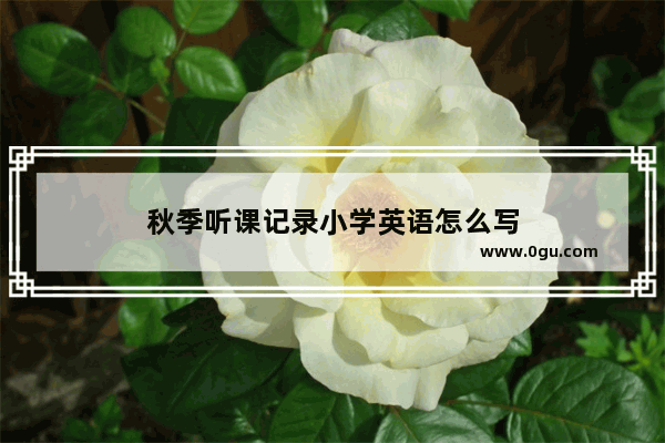 秋季听课记录小学英语怎么写