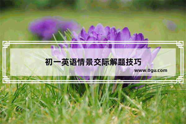 初一英语情景交际解题技巧