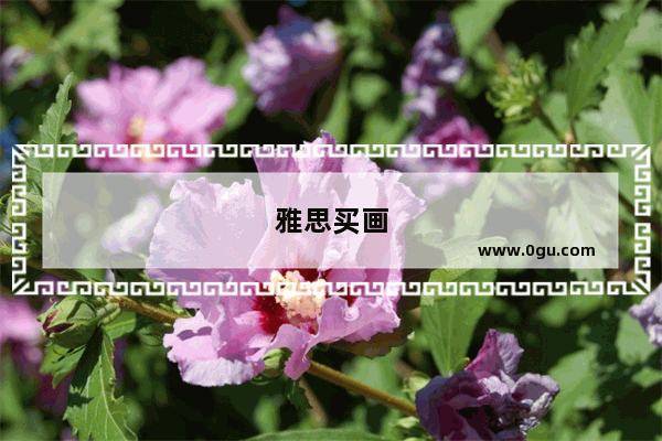 雅思买画
