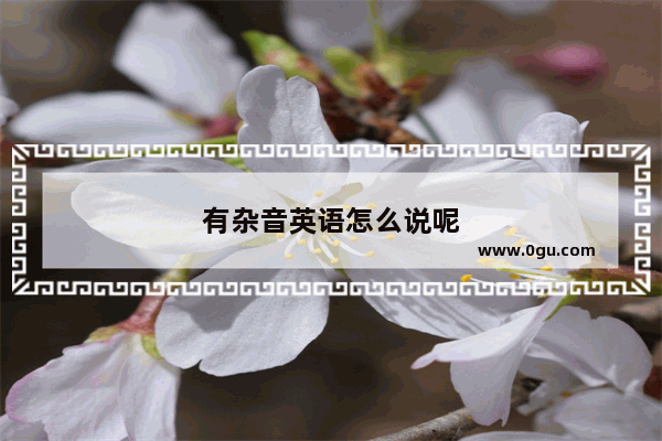 有杂音英语怎么说呢