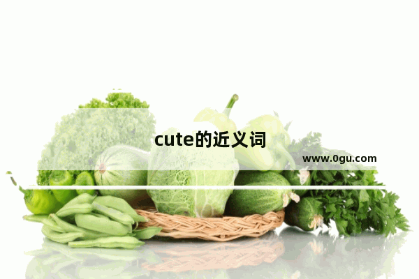 cute的近义词