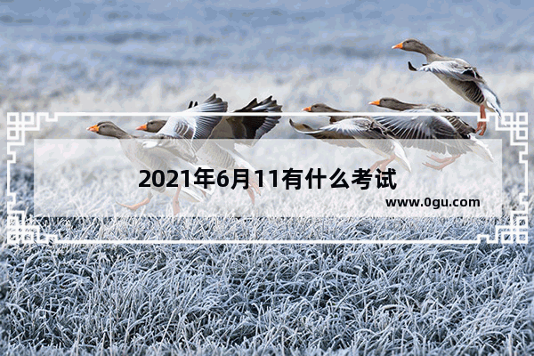 2021年6月11有什么考试