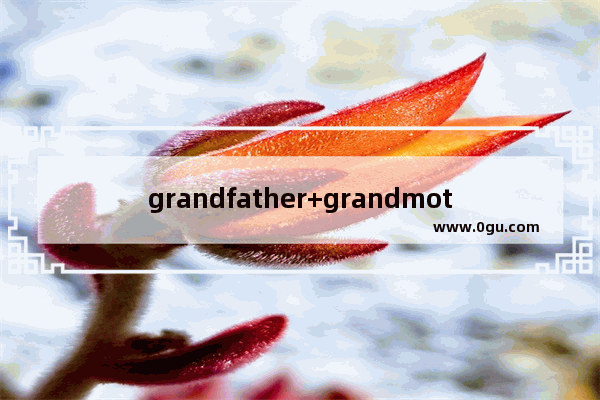 grandfather+grandmother等于什么