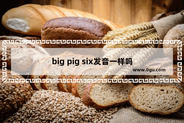 big pig six发音一样吗